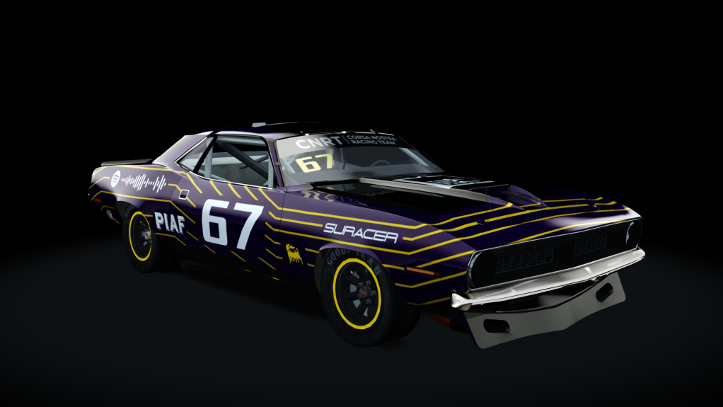 Car Skin