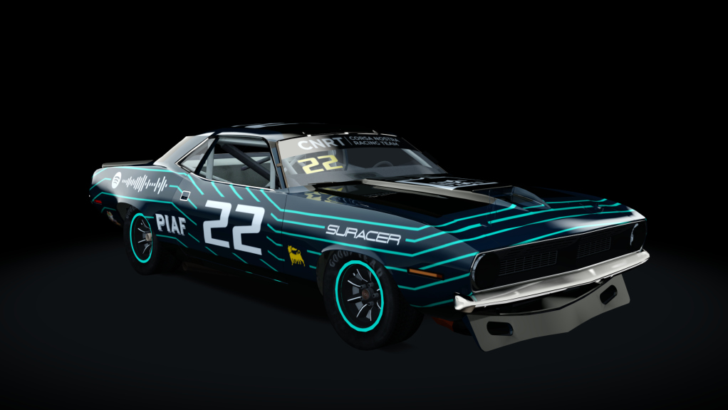 Car Skin
