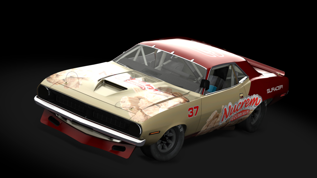 Car Skin