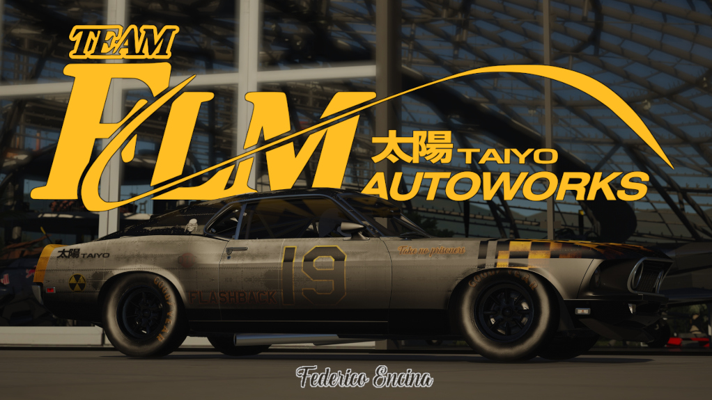 Car Skin
