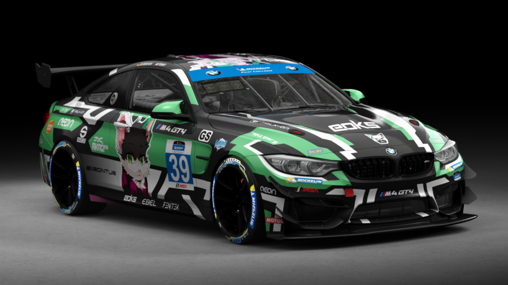 Car Skin