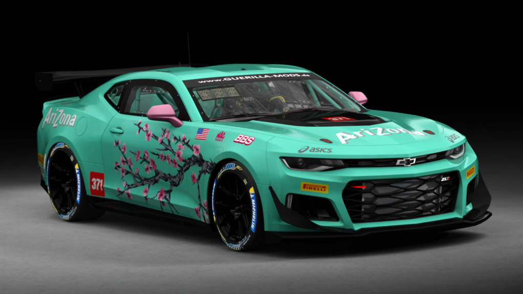 Car Skin