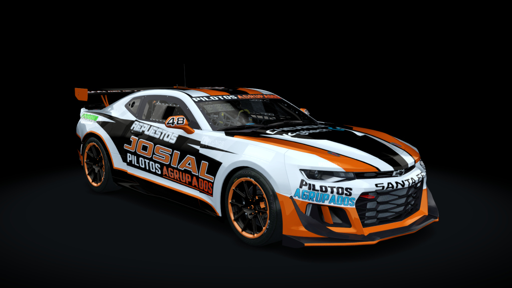 Car Skin