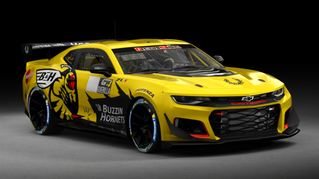 Car Skin