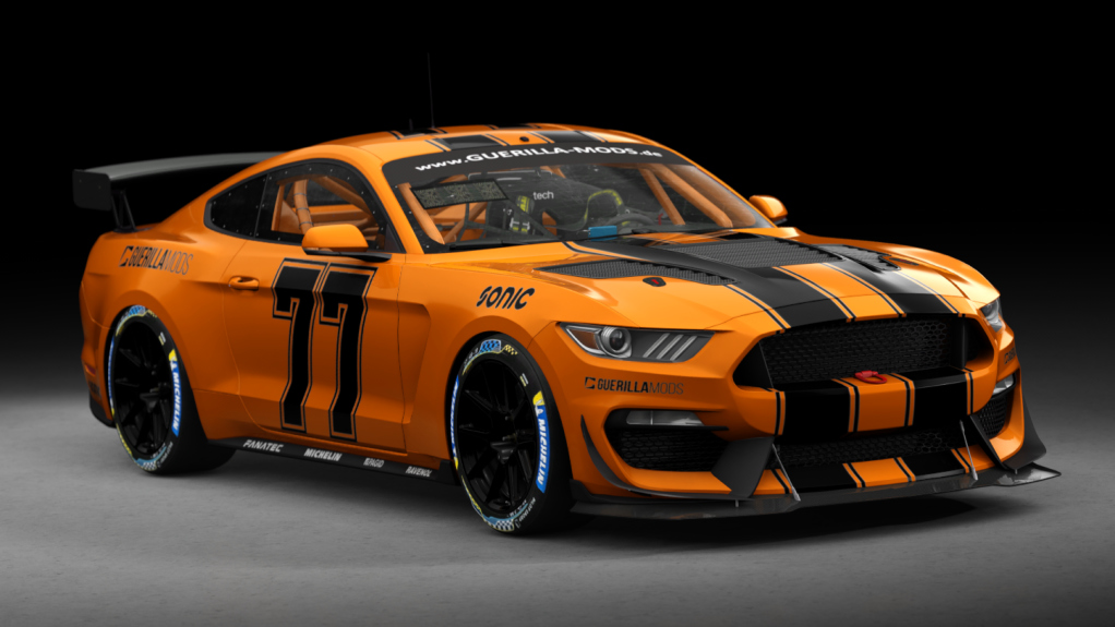 Car Skin