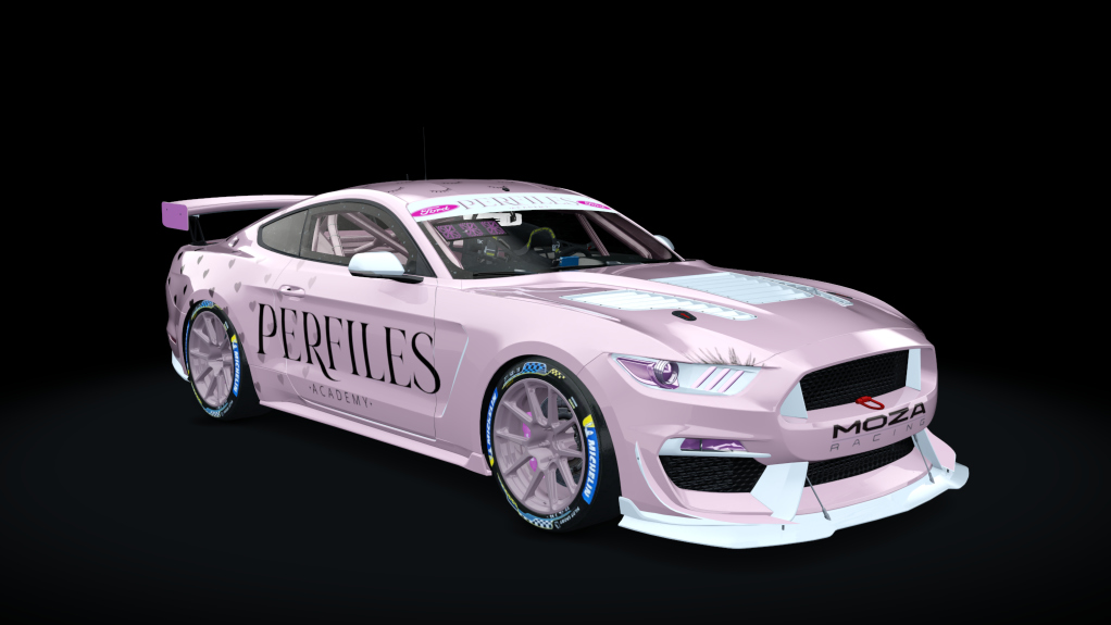 Car Skin