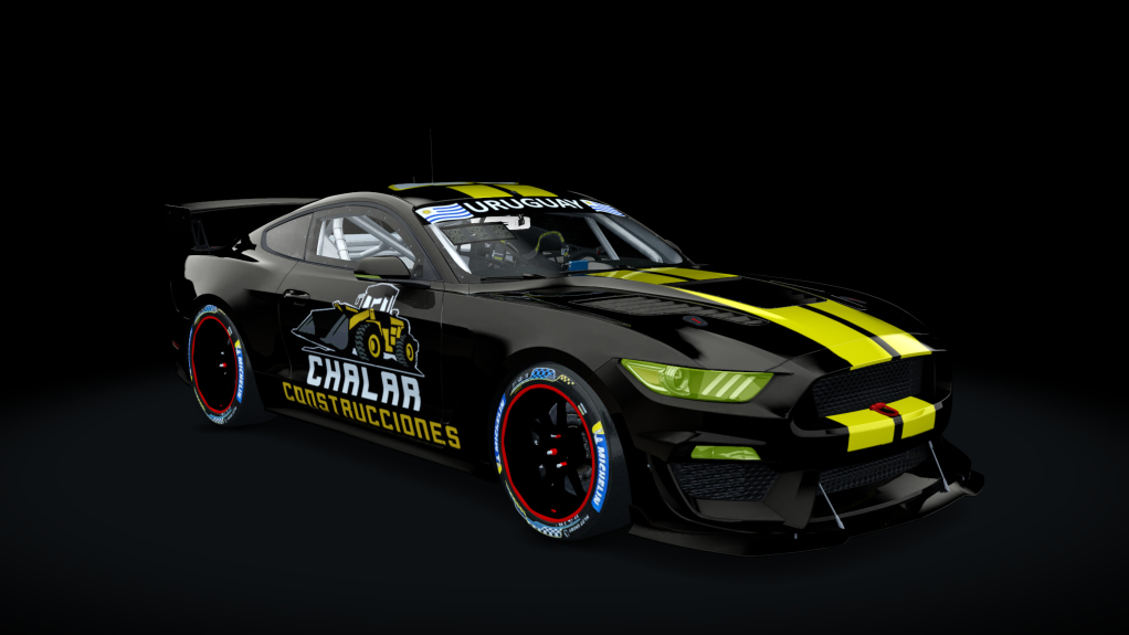 Car Skin