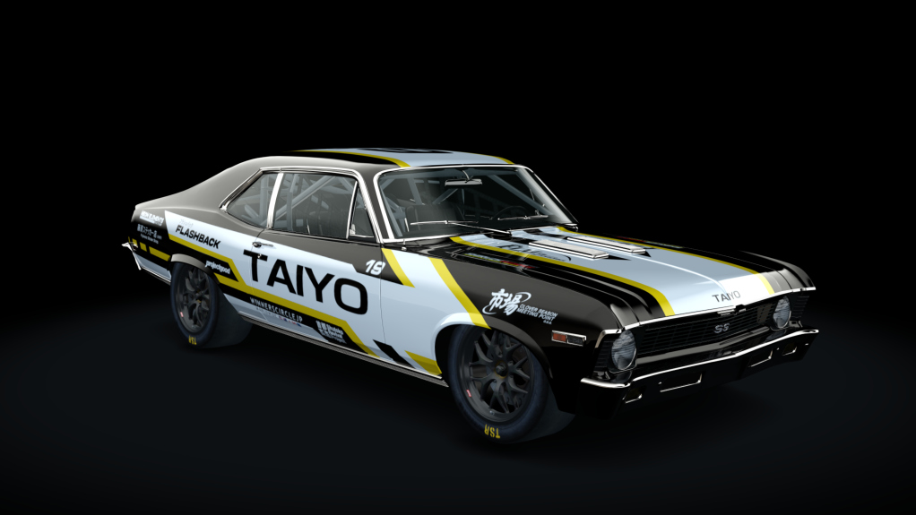 Car Skin