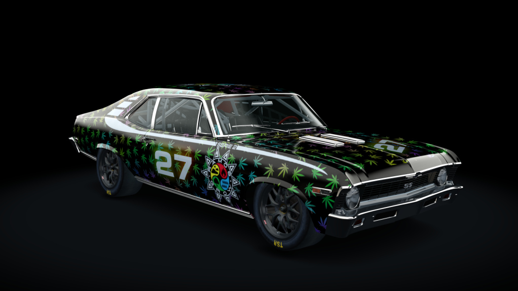 Car Skin