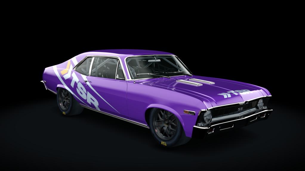 Car Skin