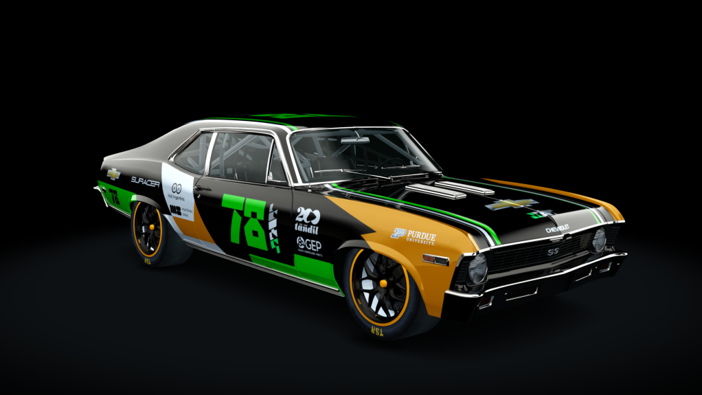 Car Skin