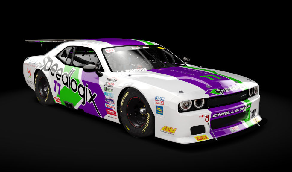 Car Skin