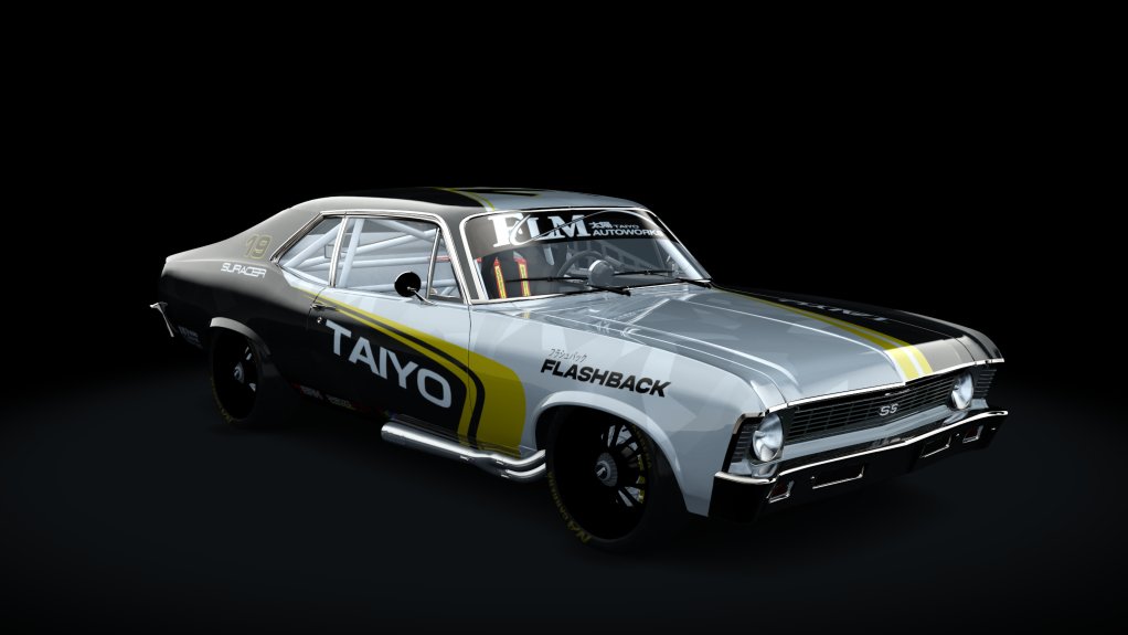 Car Skin