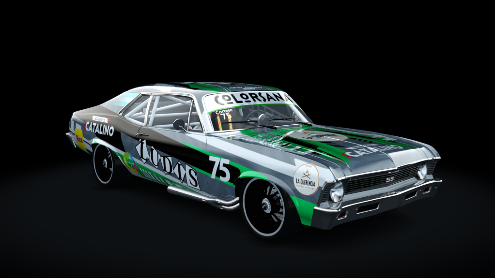 Car Skin