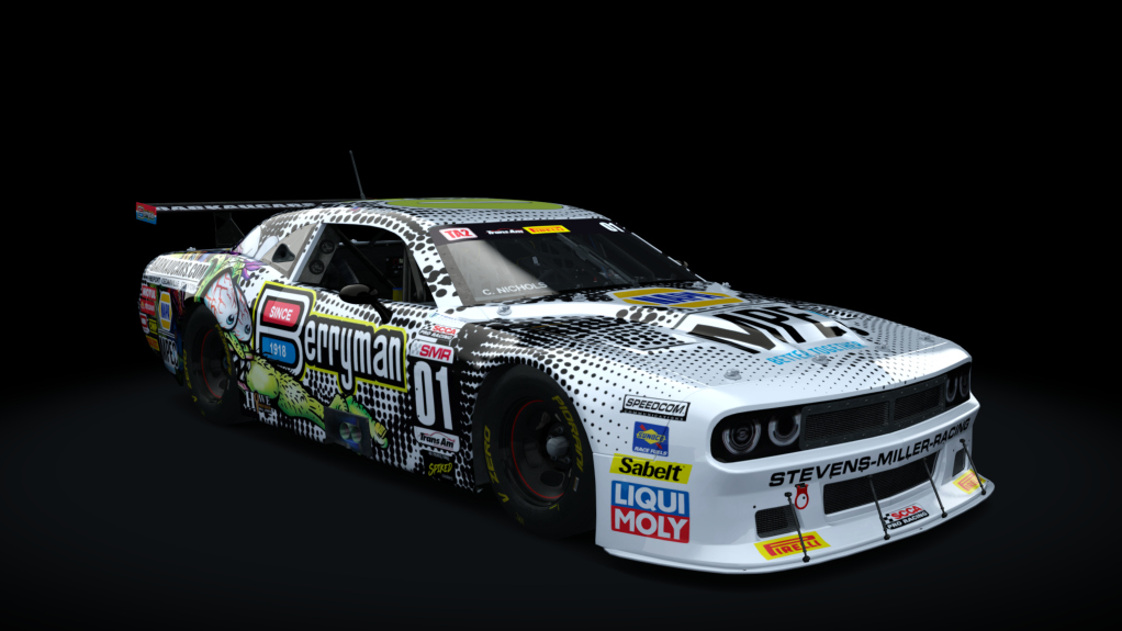Car Skin
